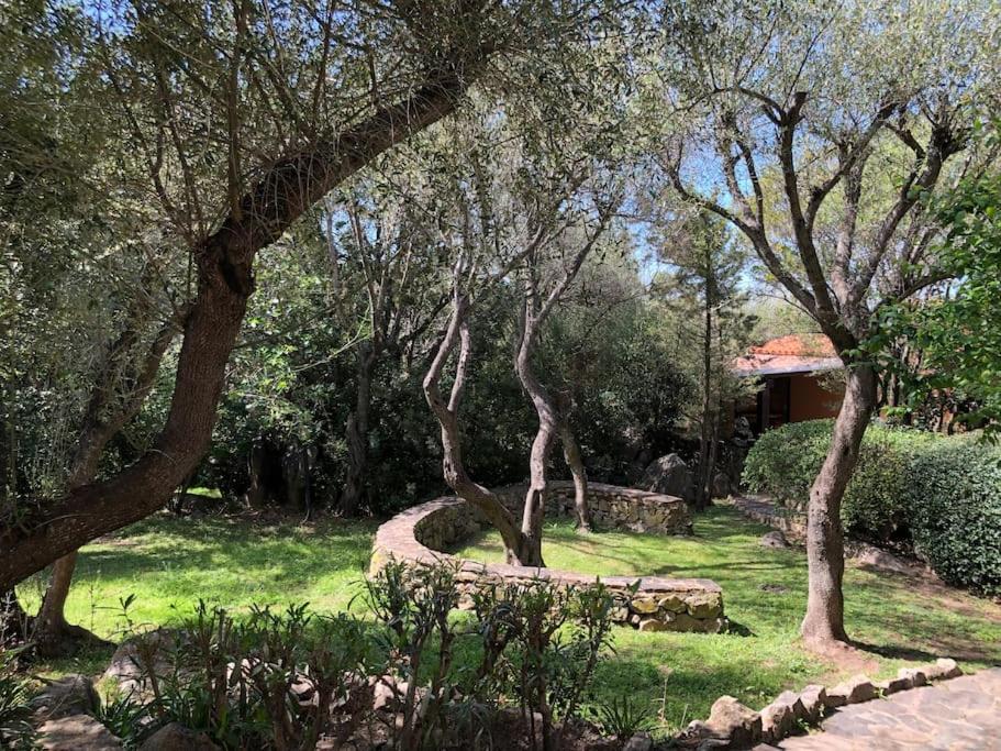 Il Nido Di Luca A Porto Rotondo公寓 外观 照片